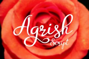 Agrish: A Script Font That Feels Like Handwritten Magic