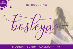 Bosleya: A Script Font for Creative Branding