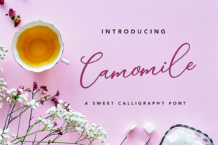 Camomile Script: A Refined Handwritten Font for Digital Branding