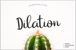 Dilation: A Fresh Handwritten Font for Editorial Design