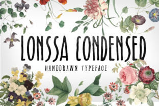 Lonssa Condensed: A Designer’s Real-World Review