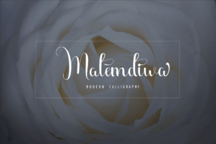 Malemdiwa: A Feminine Handwritten Script for Branding
