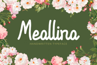 Meallina: A Simple Script Font for Editorial Grace