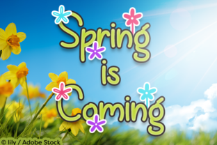 Spring is Coming Font Review