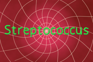 Streptococcus: A Playful Sans Serif for Digital Design