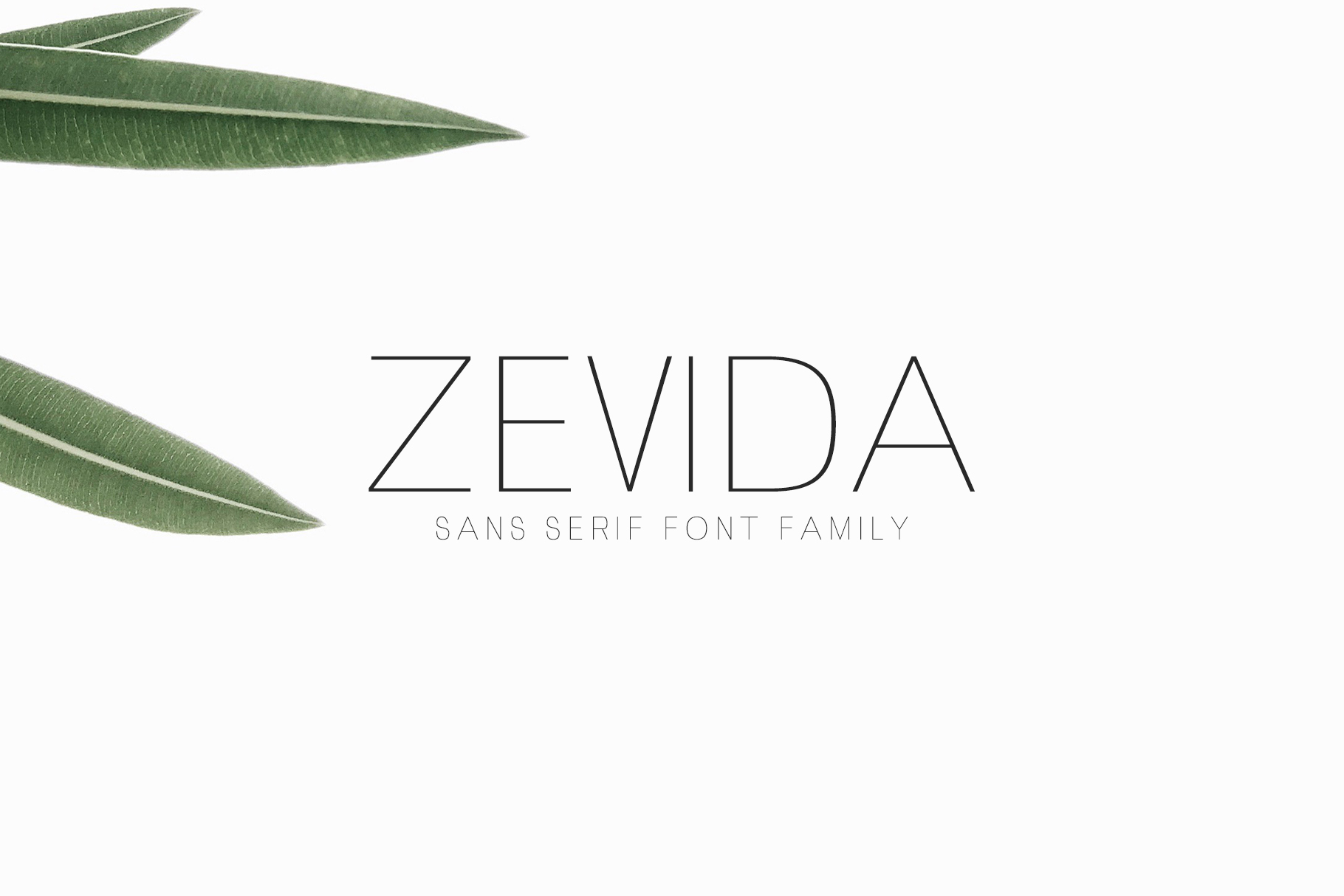 Zevida: A Font That Speaks Clearly